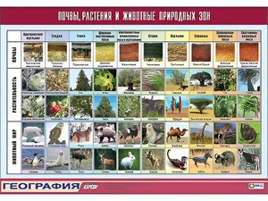 Таблица демонстрационная "Почвы, растения и животные природных зон" (винил 100*140) - fgospostavki.ru - Челябинск