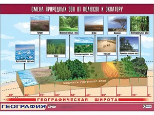 Таблица демонстрационная "Смена природных зон от полюсов к экватору" (винил 70*100) - fgospostavki.ru - Челябинск