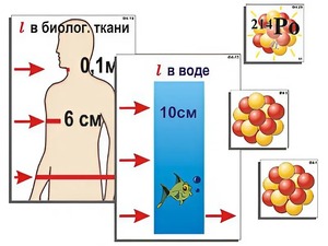 Модель-аппликация "Явление радиоактивности" (ламинированная) - fgospostavki.ru - Челябинск