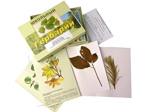 Гербарий "Жизненные формы цветковых растений" (раздаточный) - fgospostavki.ru - Челябинск