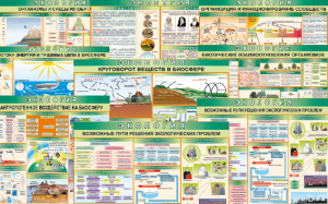 Комплект таблиц "Экология (9 листов)" (100х140 сантиметров, винил) - fgospostavki.ru - Челябинск