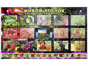 Комплект оборудования "Живой уголок" (растения) с тифлопереводом и сурдокомментариями - fgospostavki.ru - Челябинск