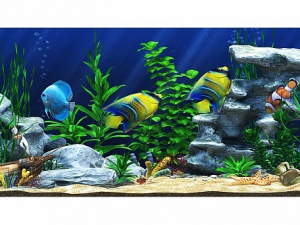 Интерактивный аттракционный комплекс "Водный мир" - fgospostavki.ru - Челябинск