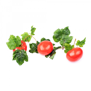 Ветка муляжей "Помидоры" - fgospostavki.ru - Челябинск