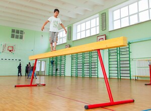 Бревно гимнастическое напольное постоянной высоты (700 мм) (5 м) - fgospostavki.ru - Челябинск