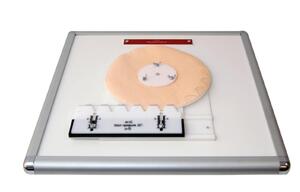 Комплекс "Изучение зубьев" - fgospostavki.ru - Челябинск