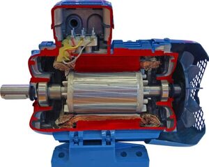 Учебная модель «Электродвигатель асинхронный в разрезе» - fgospostavki.ru - Челябинск