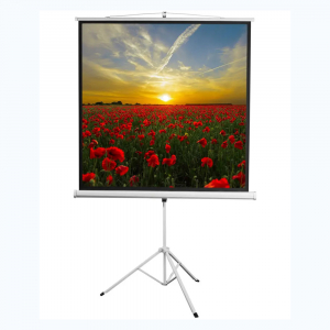 Экран на штативе DSKD-1105  - fgospostavki.ru - Челябинск