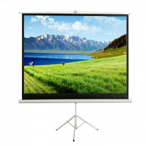 Экран на штативе DSKD-4304 - fgospostavki.ru - Челябинск