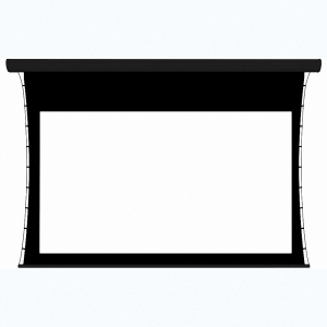 Экран настенный с электроприводом DSTPX-16916 - fgospostavki.ru - Челябинск