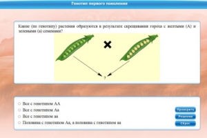Интерактивные курсы. Биология 11 класс. Базовый. - fgospostavki.ru - Челябинск