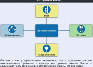 Интерактивные курсы. Биология 5 класс. Базовый - fgospostavki.ru - Челябинск