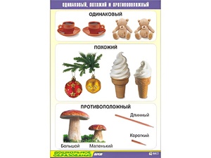 Таблица демонстрационная "Одинаковый, похожий и противоположный" (винил 70x100) - fgospostavki.ru - Челябинск