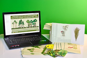 Гербарий натурально-интерактивный "Растительные сообщества. Лес" - fgospostavki.ru - Челябинск