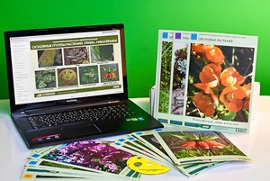 Гербарий натурально-интерактивный "Основные группы растений. Грибы. Лишайники" - fgospostavki.ru - Челябинск