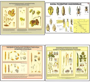 Плакаты ПРОФТЕХ "Вредители и болезни с/х культур и меры борьбы с ними" (11 пл, винил, 70х100) - fgospostavki.ru - Челябинск