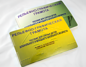 Пособие для слабовидящих детей - Рельефно-графическая грамота для слепых детей дошкольного и младшего школьного возраста - fgospostavki.ru - Челябинск