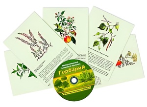 Интерактивный наглядный комплекс "Гербарий "Для начальной школы" - fgospostavki.ru - Челябинск