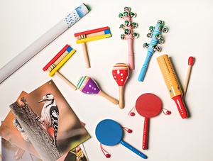 Комплект шумовых музыкальных инструментов - fgospostavki.ru - Челябинск