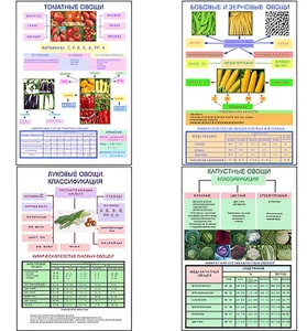 Плакаты ПРОФТЕХ "Классификация овощей" (11 пл, винил, 70х100) - fgospostavki.ru - Челябинск
