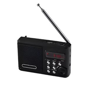 Радиоприемник цифровой с крупными кнопками - fgospostavki.ru - Челябинск