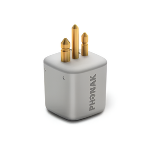 FM-приемник Roger X - fgospostavki.ru - Челябинск