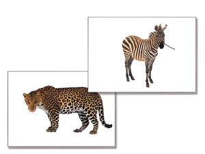 Дидактическое пособие "Дикие животные" - fgospostavki.ru - Челябинск