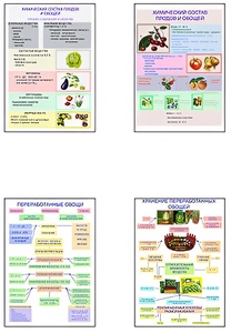 Плакаты ПРОФТЕХ "Классификация овощей и переработка" (8 пл, винил, 70х100) - fgospostavki.ru - Челябинск