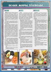 Стенд "Белки. Жиры. Углеводы" - fgospostavki.ru - Челябинск