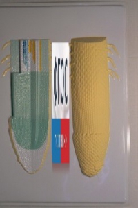 Модель барельефная "Клеточное строение корня" - fgospostavki.ru - Челябинск