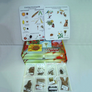 Коллекция "Семена и плоды с раздаточным материалом" - fgospostavki.ru - Челябинск