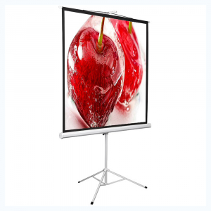 Экран на штативе DSKD-1106 - fgospostavki.ru - Челябинск