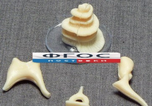 Модель "Косточки слуховые" - fgospostavki.ru - Челябинск