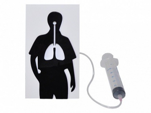 Демонстрационная модель "Эффект курения" - fgospostavki.ru - Челябинск