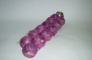 Муляжи "Связка лука" - fgospostavki.ru - Челябинск