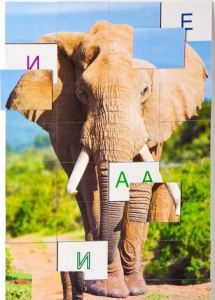 Магнитная орфография (безударные гласные, 1 класс) "Слон" - fgospostavki.ru - Челябинск