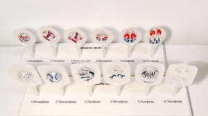 Модель "Митоз и мейоз клетки" - fgospostavki.ru - Челябинск