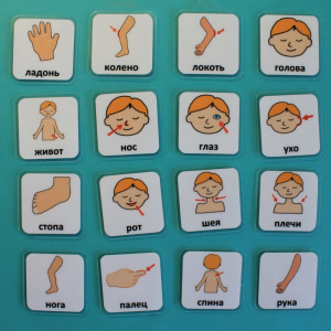 Набор карточек "Части тела" - fgospostavki.ru - Челябинск