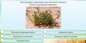 Интерактивные курсы. Окружающий мир 3 класс . Базовый. - fgospostavki.ru - Челябинск