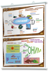 Плакаты по русскому языку для оформления кабинета. - fgospostavki.ru - Челябинск