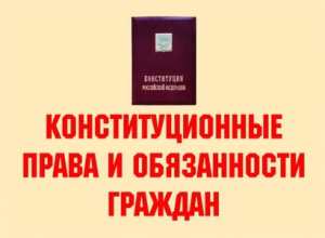 Комплект плакатов "Конституционные права и обязанности граждан" - fgospostavki.ru - Челябинск