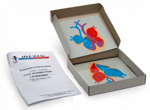 Модель-аппликация "Этапы эволюции сердца у позвоночных" (набор из 4 карт) - fgospostavki.ru - Челябинск