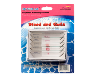 Набор микропрепаратов для микроскопа №1 «Человек» - fgospostavki.ru - Челябинск