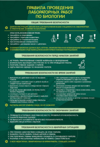 Стенд "Правила выполнения лабораторных работ по биологии" Вариант 1 - fgospostavki.ru - Челябинск