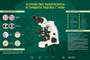 Электрифицированный стенд "Устройство микроскопа и правила работы c ним" - fgospostavki.ru - Челябинск