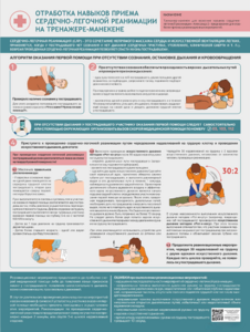 Стенд "Отработка приемов сердечно-легочной реанимации на тренажере-манекене" - fgospostavki.ru - Челябинск
