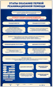 Электрифицированный стенд-тренажер "Этапы оказания первой реанимационной помощи" - fgospostavki.ru - Челябинск