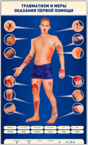 Электрифицированный стенд-тренажер "Травматизм и меры оказания первой помощи" - fgospostavki.ru - Челябинск