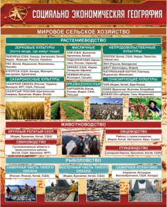 Стенд "Социально-экономическая география. Сельское хозяйство" - fgospostavki.ru - Челябинск
