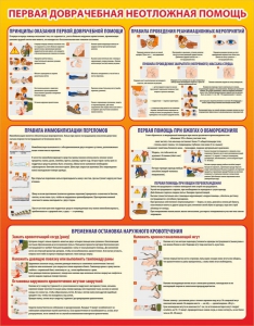 Стенд "Первая доврачебная неотложная помощь" - fgospostavki.ru - Челябинск